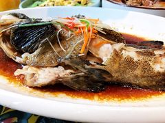 清蒸石斑-宝轩渔府·老字号海鲜·正宗津菜(水上店)