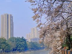 -红星桥(地铁站)