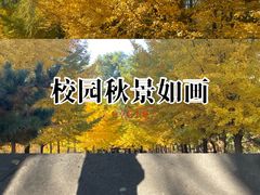 -长白岛森林公园