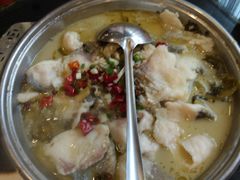 -刘胖子家常菜·蹄花焖藕(中南店)