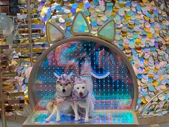 -海港城