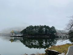 -庐山风景区花径公园