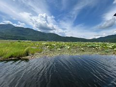 -腾冲北海湿地