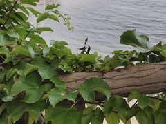 -渔公码头海货全海鲜自助(海滨旅游路店)