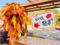 -北京十三陵国家森林公园蟒山景区