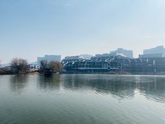 -长兴太湖图影湿地文化园