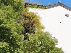 -太平天国侍王府