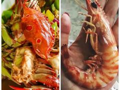 -白沙门生态公园