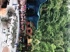 -西双版纳原始森林公园