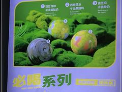 -吴山山·椰子酸奶(天河南店)