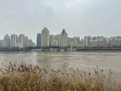 -江心屿景区
