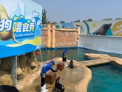 -秦皇岛乐岛海洋王国