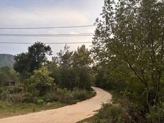 -嵖岈山风景区