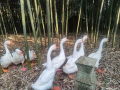 -兰亭风景区