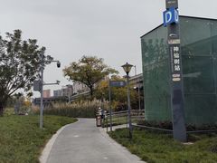 -神仙树公园