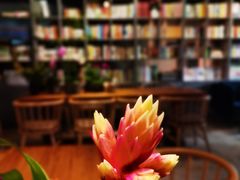 -谷咖啡·鲜花绿植花园餐厅