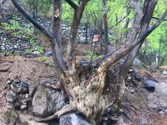 -孤山寨风景区