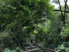 -广州市白云山风景名胜区
