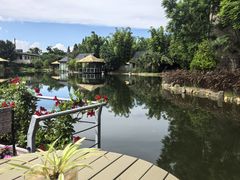 -抚仙湖万达文华酒店