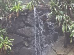 -青青世界