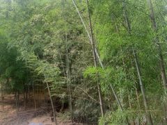 -高老庄·老溧阳·私房菜(南山竹海店)