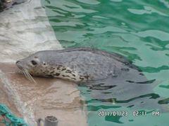 -大连圣亚海洋世界