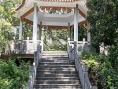 -大湾区中央湿地公园