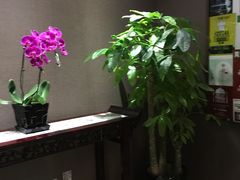 -鼎泰丰(渔阳店)
