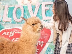 -Blue Concept Cafe&Farm·關於藍