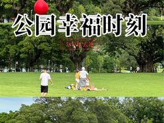 -东莞植物园