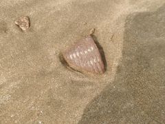 -天天渔港海鲜酒家(石浦玉泉路店)