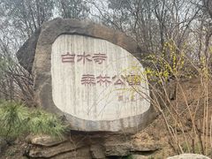 -白水寺森林公园