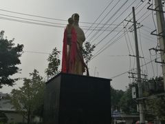 -张醪糟