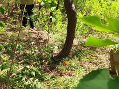 -大觉寺-停车场