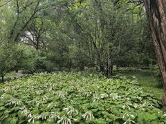 -玲珑塔公园