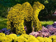 -国家植物园南园