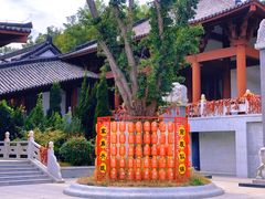 -威海华夏城景区