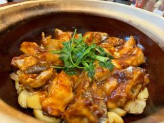 -新雅粤菜馆(南京东路店)