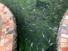 -侯臣咖啡文化村