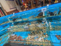 -晓伟海鲜家常菜