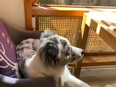 -YLK云南小粒咖啡·云里咖(二号店)