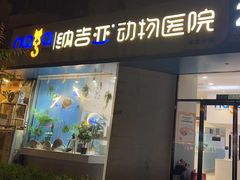 -纳吉亚猫专科动物医院·北北分院