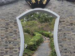 -南汇桃花村