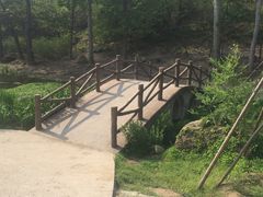 -白水寺森林公园
