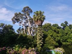 -墨尔本皇家植物园