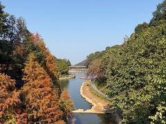 -广州市帽峰山景区