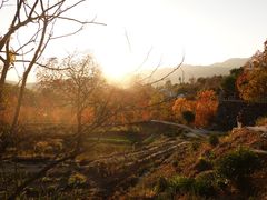 -塔川景区