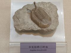 -国家自然博物馆