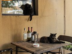 -SISTERS BAR RESTAURANT川意酒馆(嘉善老市H楼店)