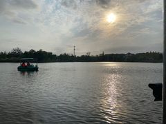 -上海长兴岛郊野公园